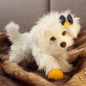 Bichon Maltez Christy Made To Order Bichon Maltez, realistic toy image 4