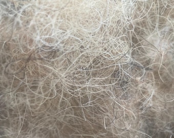 Antique horse hair filler