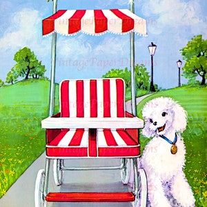 Op de afbeelding: Vintage illustratie van een rood-wit gestreepte kinderwagen met een luifel, geparkeerd op een verhard pad. Een pluizige witte hond met een medaille zit ernaast. Een gele vlinder rust op het frame van de kinderwagen.