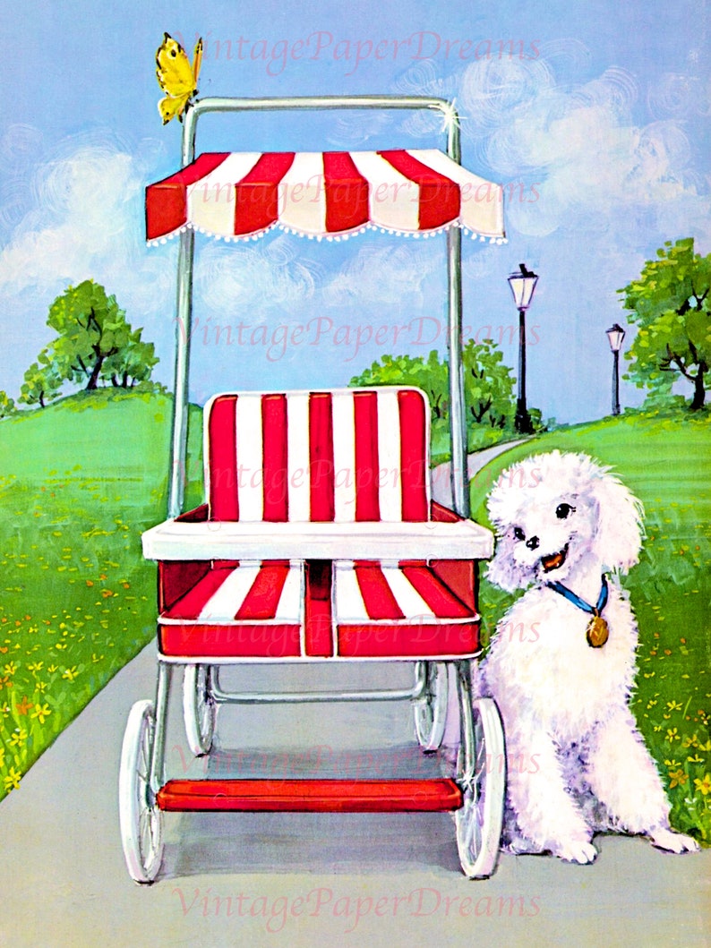 Op de afbeelding: Vintage illustratie van een rood-wit gestreepte kinderwagen met een luifel, geparkeerd op een verhard pad. Een pluizige witte hond met een medaille zit ernaast. Een gele vlinder rust op het frame van de kinderwagen.