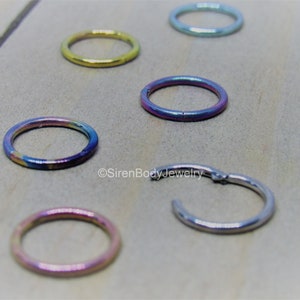 Surgical Steel Hinged Segment Ring w/ Titanium Anodized and Precision 14GA 3/8 Gold Surgical Steel Hinged Segment Ring w/ Titanium Anodized and Precision 14GA 3/8 Gold