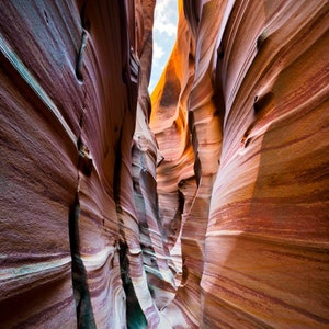 Zebra Slot | Grand Staircase-Escalante National Monument, Utah
