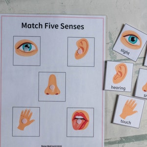 Five Senses Matching, Homeschool Educational Worksheet, Learning Activity, Busy Binder for Kids, Printable Curriculum Helper