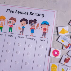 May include: Five Senses Sorting activity with five cartoon children representing each sense: smell, sight, touch, hearing, and taste.  Each child holds a card with an image of a body part associated with that sense.  There are 15 colorful picture cards with various images to sort under the correct sense.