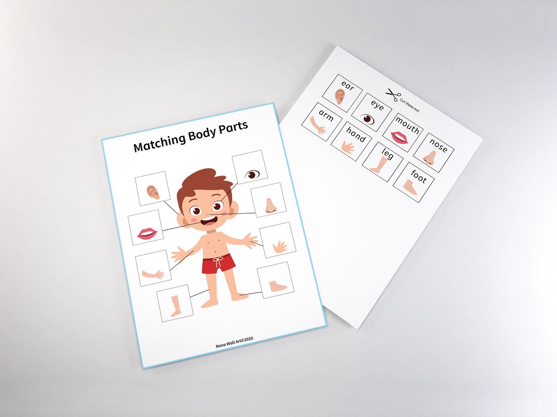 Body Parts Matching Game Homeschool Educational Worksheet - Etsy