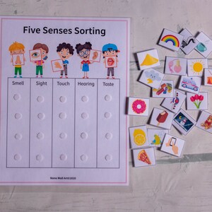 May include: Five Senses Sorting activity with colorful pictures of objects that correspond to the five senses: smell, sight, touch, hearing, and taste. The pictures are on small cards and can be sorted into the corresponding categories on the white sheet.