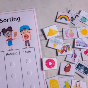May include: A colorful educational game for kids to learn about the five senses. The game includes cards with images of different objects and activities that relate to each sense. The cards are placed on a board with five sections labeled "Sight", "Touch", "Hearing", "Taste", and "Smell".