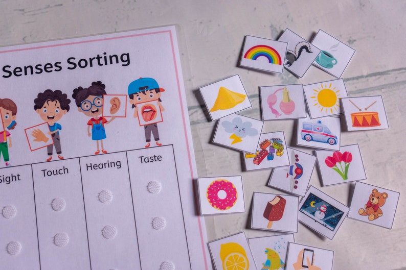 May include: A colorful educational game for kids to learn about the five senses. The game includes cards with images of different objects and activities that relate to each sense. The cards are placed on a board with five sections labeled "Sight", "Touch", "Hearing", "Taste", and "Smell".