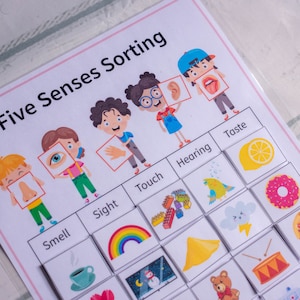 Five Senses Sorting Activity, Homeschool Educational Worksheet, Learning Activity, Busy Binder for Kids, Printable Curriculum Helper