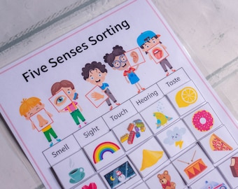 Five Senses Sorting Activity, Homeschool Educational Worksheet, Learning Activity, Busy Binder for Kids, Printable Curriculum Helper