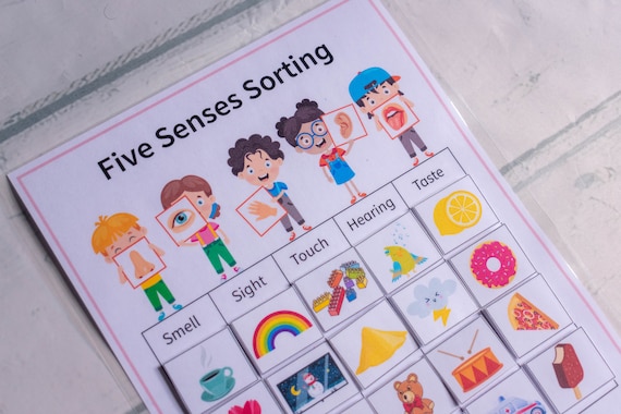 Five Senses Sorting Game: Homeschool Learning Activity (Digital File)