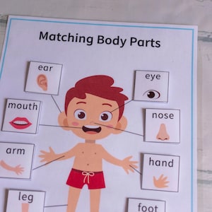 Juego de combinación de partes del cuerpo, hoja de trabajo educativa para educación en el hogar, actividad de aprendizaje, carpeta ocupada para niños, ayuda de plan de estudios imprimible