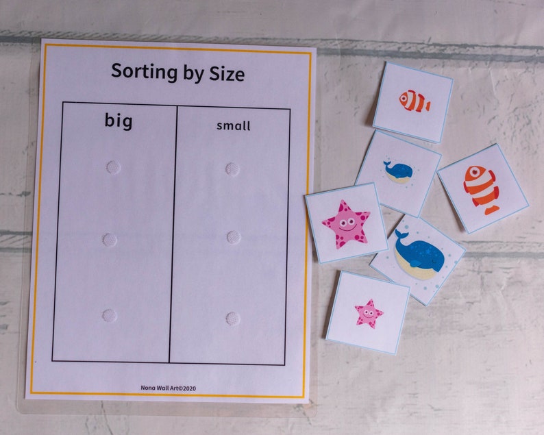 Educational Activity Sorting by Size Homeschool Printable | Etsy
