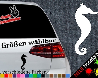 Seahorse Sticker Sea Rat Seapocke Free Swimmer Baywatch Seahorse Water