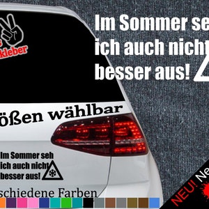 No Winter Car Sticker Old Car Funny Saying Sticker JDM Fun Snow Snow