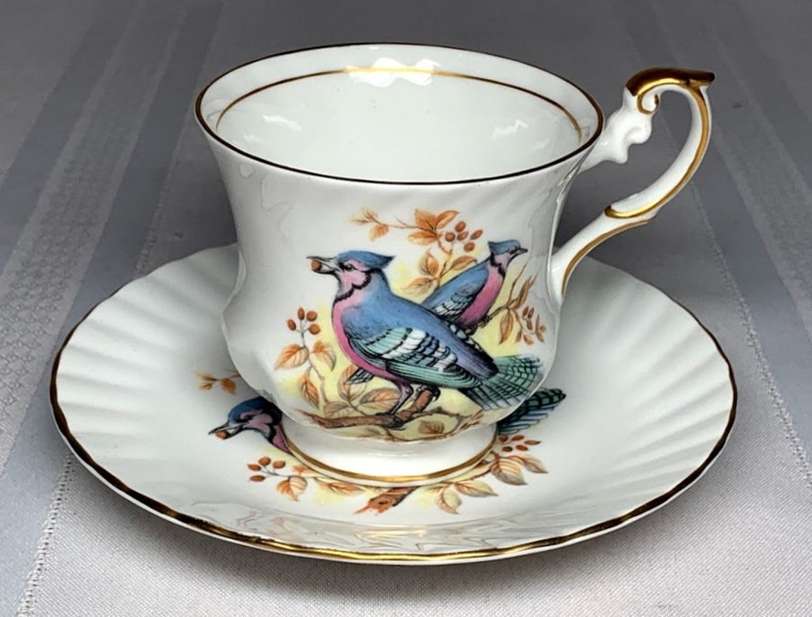 Queen's Rosina, Fine Bone China, Birds of America, Teacup & Saucer