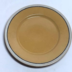 SEG Pottery, Saturday Evening Girls, Decorated Dinner Plate, Artist Signed, Nice