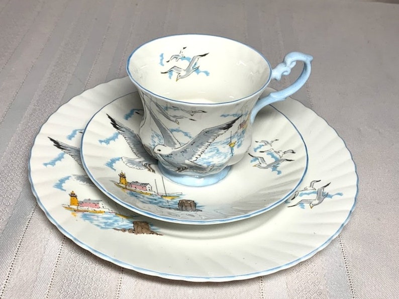 Queen's Rosina Fine Bone China Seagull Teacup Saucer Etsy
