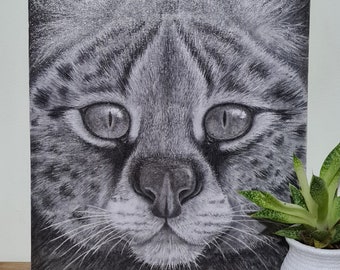 Serval Charcoal Drawing on Canvas Board - Original Artwork