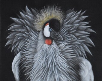 Grey Crowned Crane Pastel Painting - Original Artwork