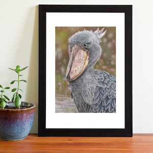 Shoebill Stork Bird Wildlife Pastel Art Print Multiple Sizes (8x6 or 12x8)