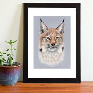 Eurasian Lynx Big Cat Pastel Art Print Multiple Sizes (8x6 or 12x8)