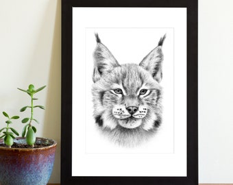 Eurasian Lynx in Graphite Art Print Big Cat Drawing Multiple Sizes (6x4 8x6 or 12x8)