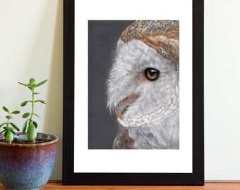 Barn Owl Soft Pastel Drawing - Original Artwork - Bird of Prey, Wildlife