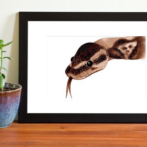 Coffee Python Coffee Painting Snake Art Print Multiple Sizes (A4/A5)