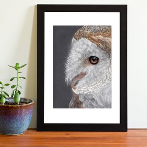 Barn Owl Wildlife Pastel Art Print Multiple Sizes (8x6 or 12x8)