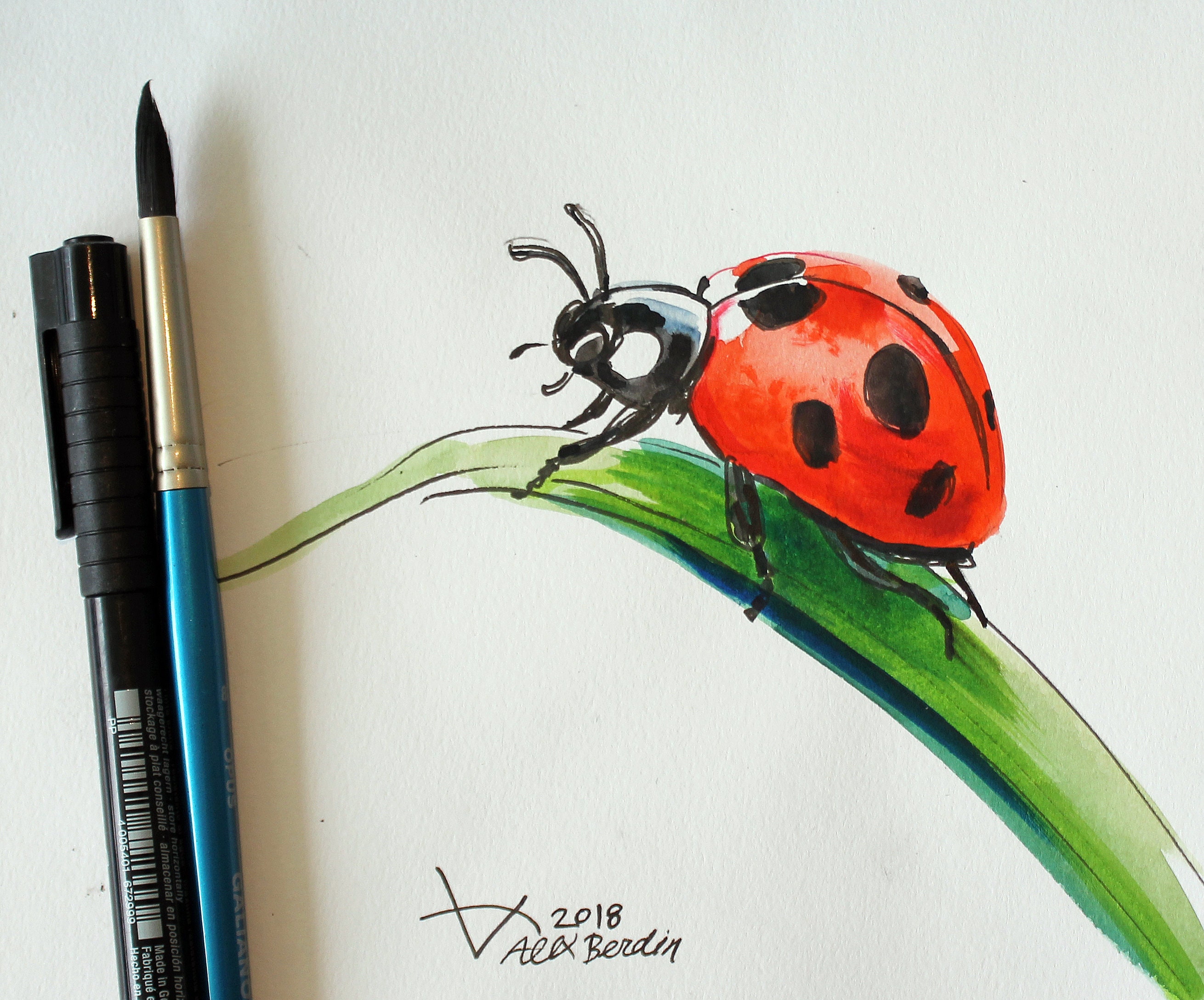 Ladybird Cartoon Drawing, ladybug, food, insects, cartoon png | PNGWing