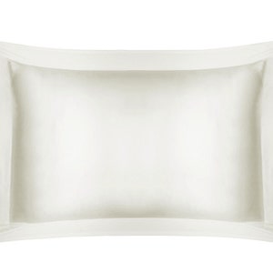 100% Pure Mulberry Silk (6A) Charmeuse Silk Hypoallergenic Pillowcase White Ivory Pillow Case- 1 side Silk+1 side Cotton