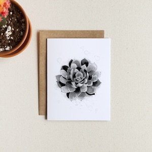 Carte de souhaits / illustration de Succulente / illustration plante d'intérieur / carte vierge / encre de chine (tx incluses)