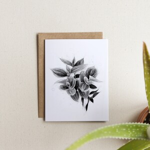 Carte de souhaits / illustration de Nanouk / illustration plante d'intérieur / carte vierge / encre de chine (tx incluses)