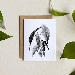 Carte de souhaits / illustration de Bégonia / illustration plante d'intérieur / carte vierge / feuillage / encre de chine (tx incluses)
