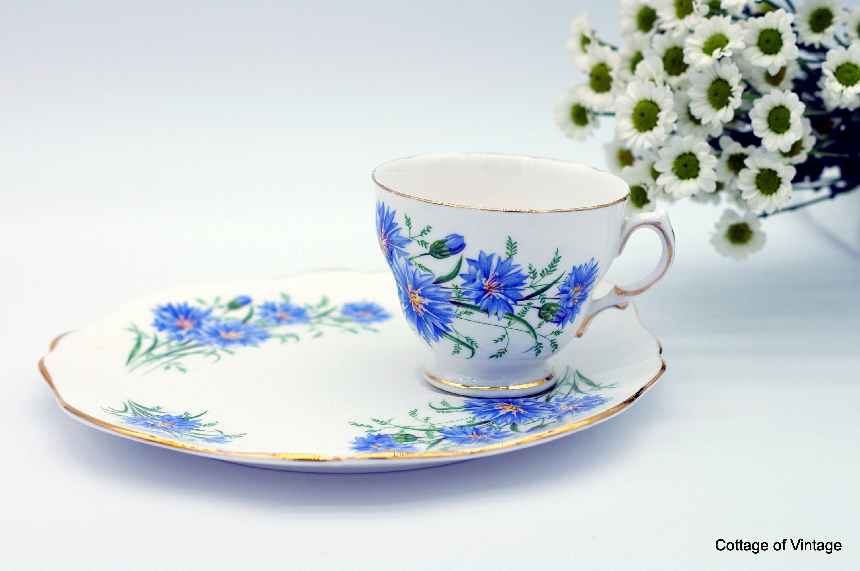 cornflower royal vale bone china tea cup