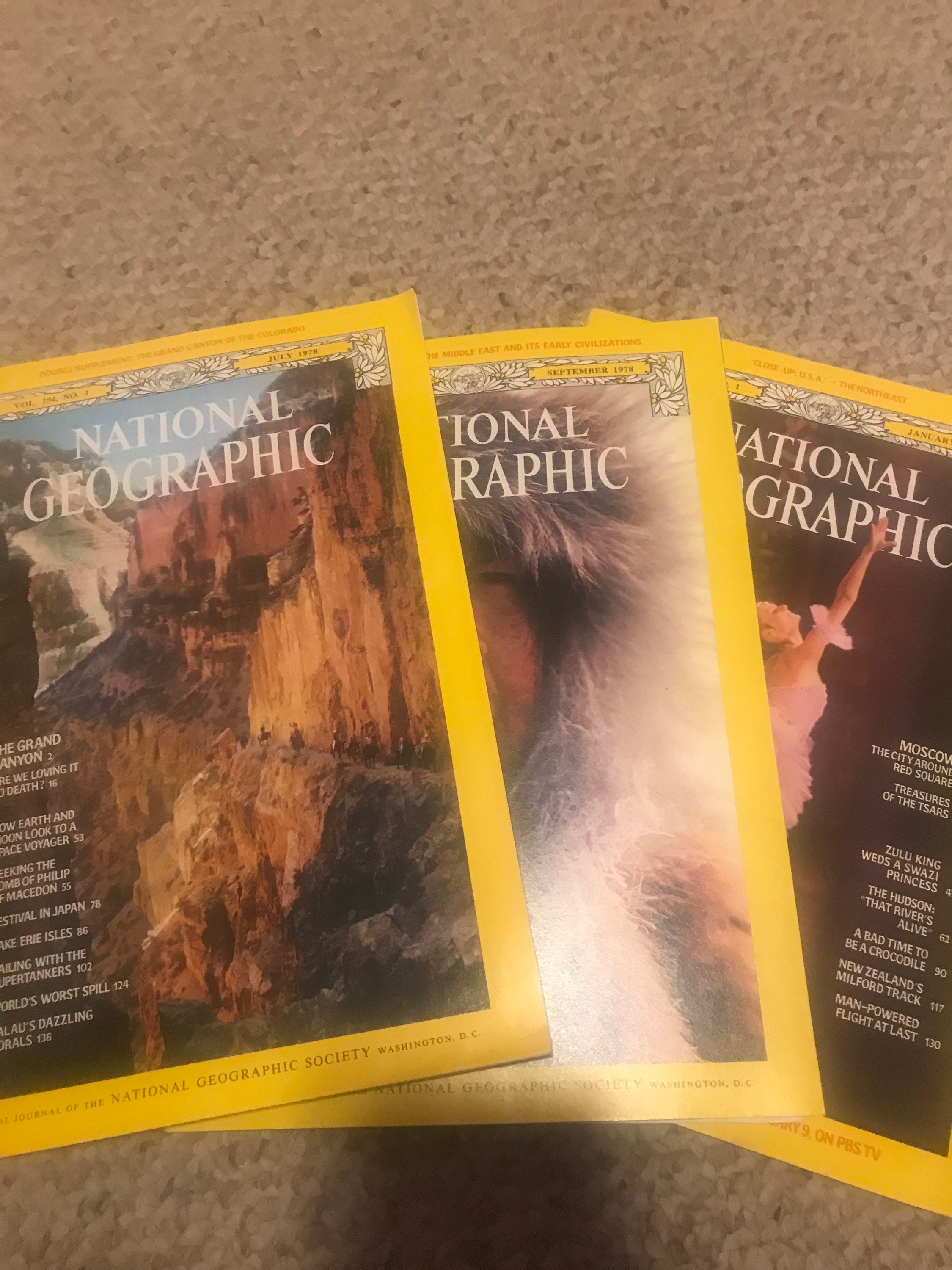 Set of 12 Vintage National Geographic Magazines. Full Year Etsy