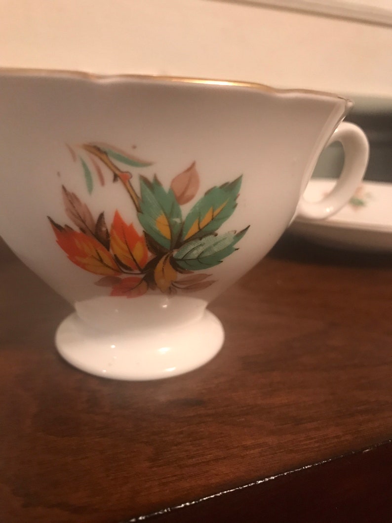 Vintage Radfords Bone China Teacup and Saucer Made in England Free Shipping