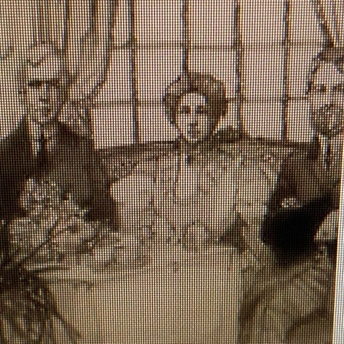 Weird and Wonderful Ships by Graeme Cook (1975). Hardcover. . Free