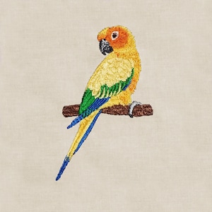 Sun Conure, 4x4, Conure, Parrot, Machine Embroidery Design, Design, Bird