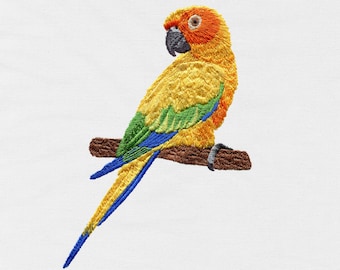 Sun Conure, Conure, Parrot, Machine Embroidery Design, Design, Bird