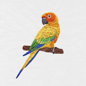 Sun Conure, Conure, Parrot, Machine Embroidery Design, Design, Bird