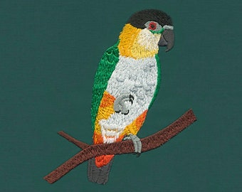 Black-headed Caique, Machine Embroidery Design, Design, Bird