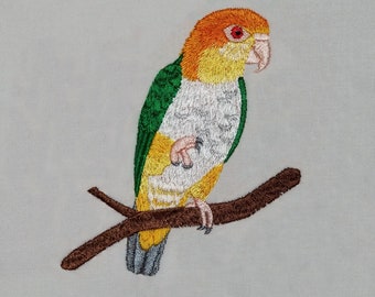 White-bellied Caique, Machine Embroidery Design, Design, Bird