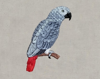 African Grey Parrot, 4x4, Machine Embroidery Design, Design, Bird