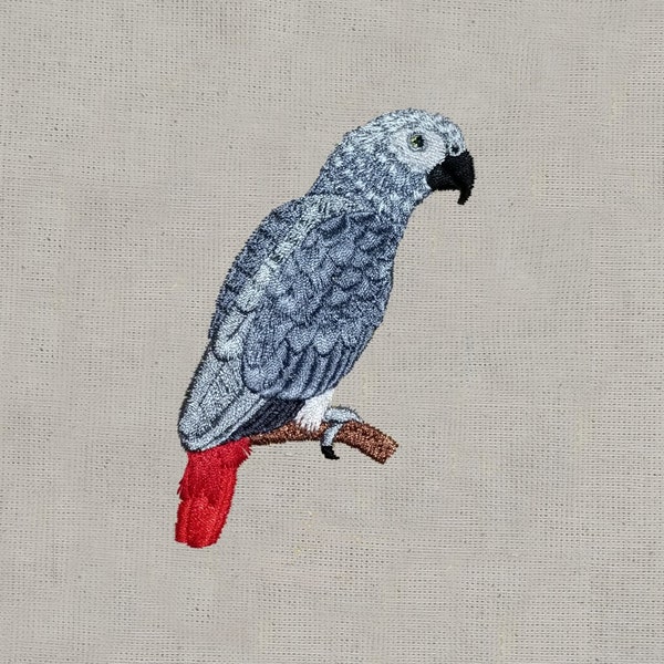 African Grey Parrot, 4x4, Machine Embroidery Design, Design, Bird