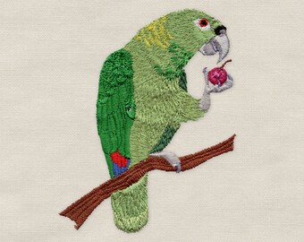 Yellow Nape Amazon, Amazon, Parrot, Machine Embroidery Design, Design, Bird
