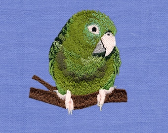 Blue-crowned Conure, 4x4, Conure, Parrot, Machine Embroidery Design, Design, Bird