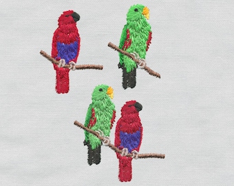 Mini Red-sided Eclectus Set, Machine Embroidery Design, Design, Bird