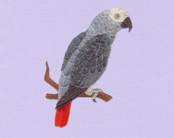 African Grey Parrot, 5x7, Machine Embroidery Design, Design, Bird